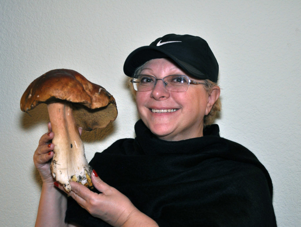 1. Porcini mushroom
