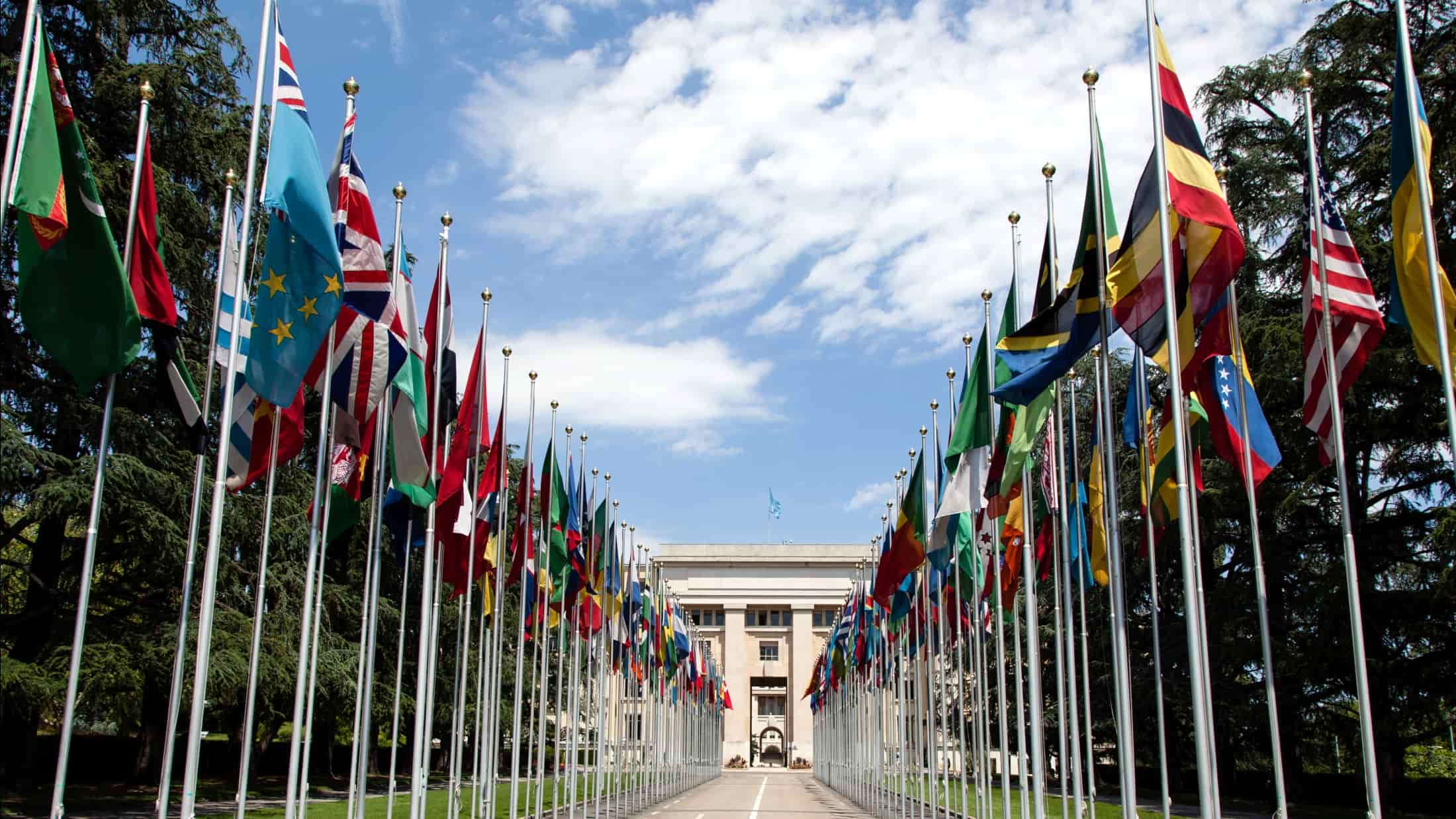 United_Nations_Flags_-_cropped-min
