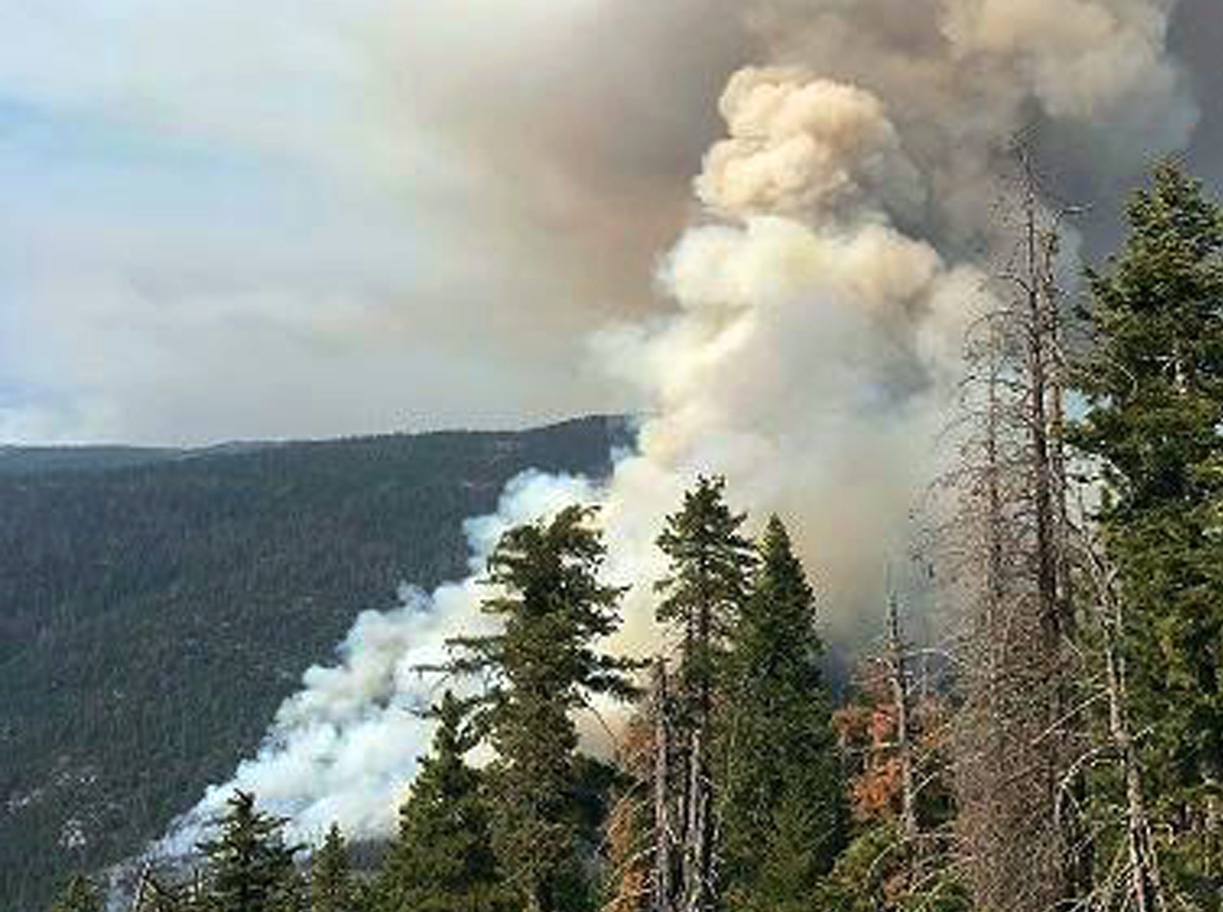 california-wildfires-e1503181964112