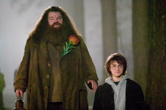 Harry Hagrid
