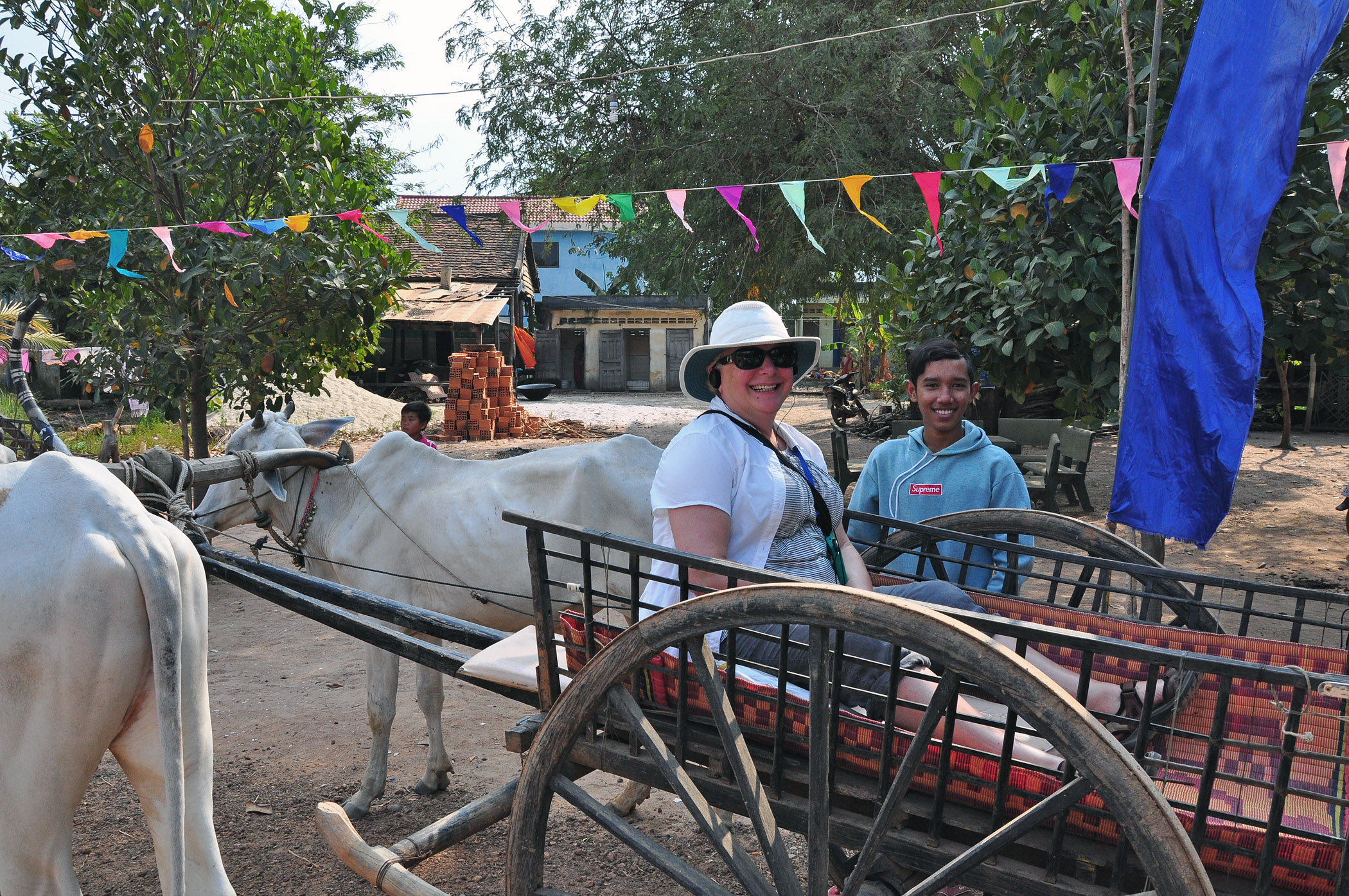 5. Ox ride in Cambodia