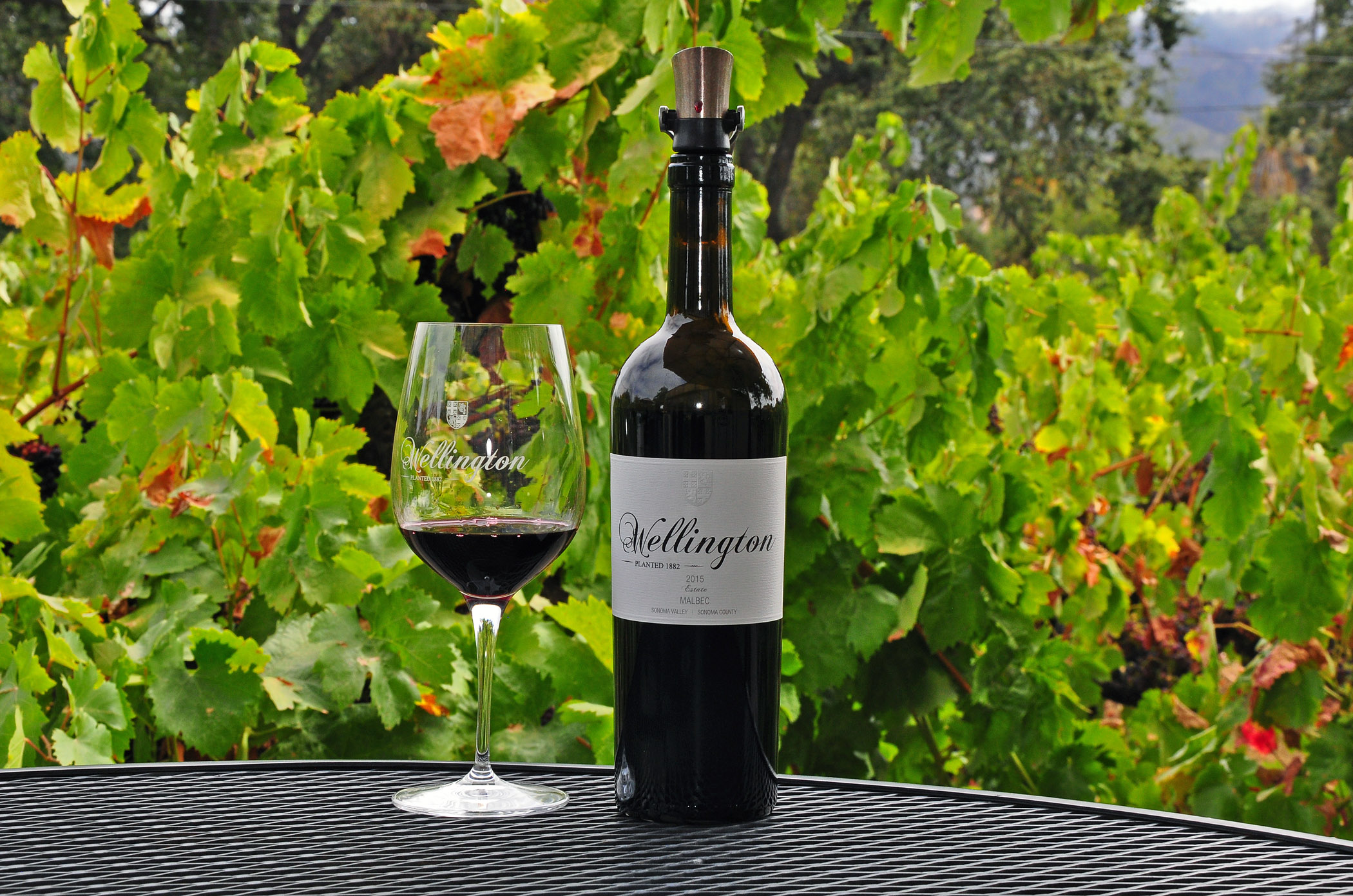 6. Wellington Wine
