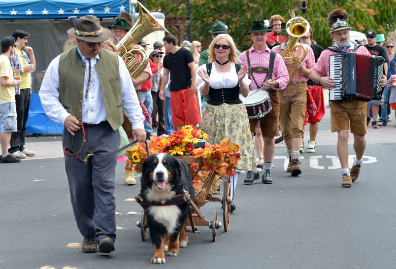 Larry Bohlig of Forest Hill, Calif., walks his Bernese called "Chief" who carries the first keg of beer to be opened during the tapping of the keg, as the Oktoberfest parade walks behind him, during the ninth annual Clayton Oktoberfest in Clayton, Calif., on Saturday Oct. 6, 2012. (Dan Rosenstrauch/Staff)