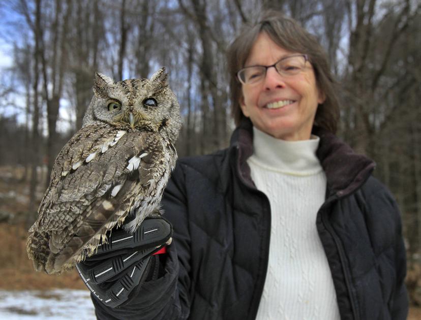 Lindsay wildlife museum