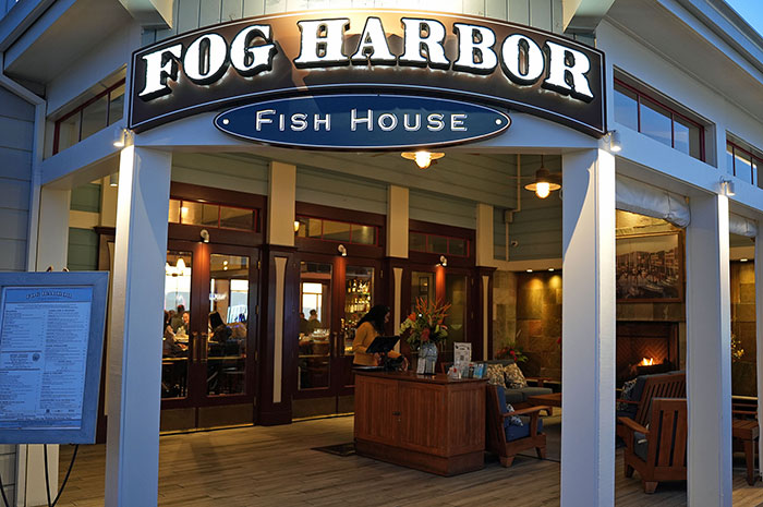 Мы выбираем, нас выбирают