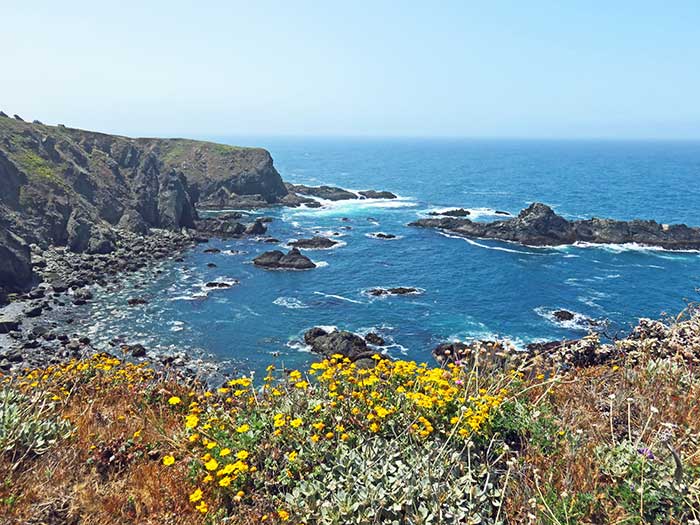 О согласии в семье