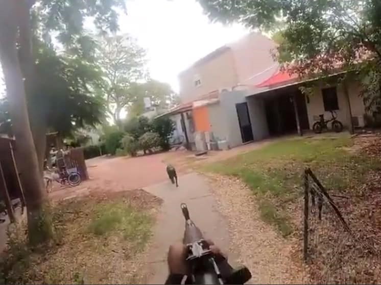 Лабрадор из Беэри