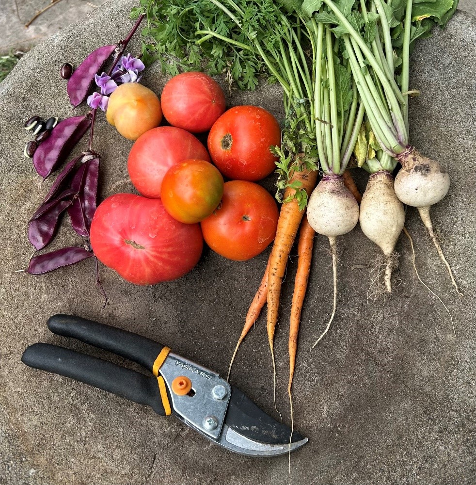 Еще раз про любовь к земледелию