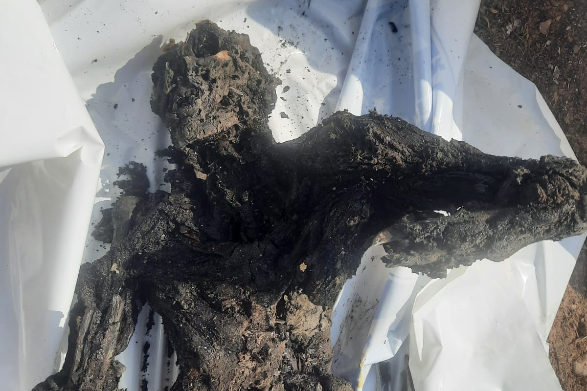 Речь Б. Нетаньяху в ООН