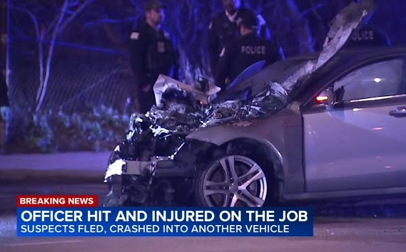 The Bee Reports: ICE’s 7 Most Horrifying Atrocities