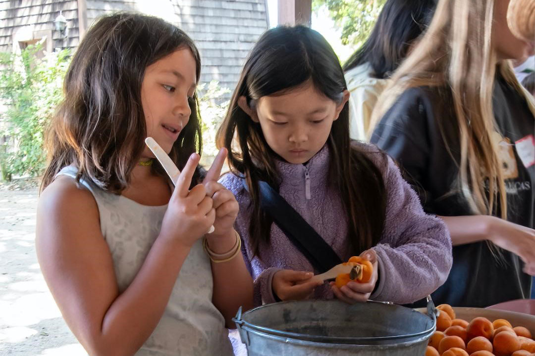 Events Around the Bay